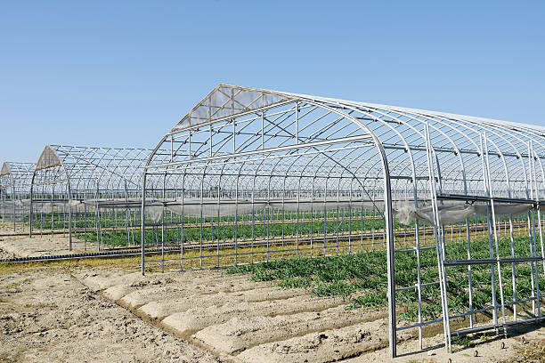 کاربردها و مزایای لوله گالوانیزه برای گلخانه در افزایش دوام و بهره ‌وری سازه ‌ها